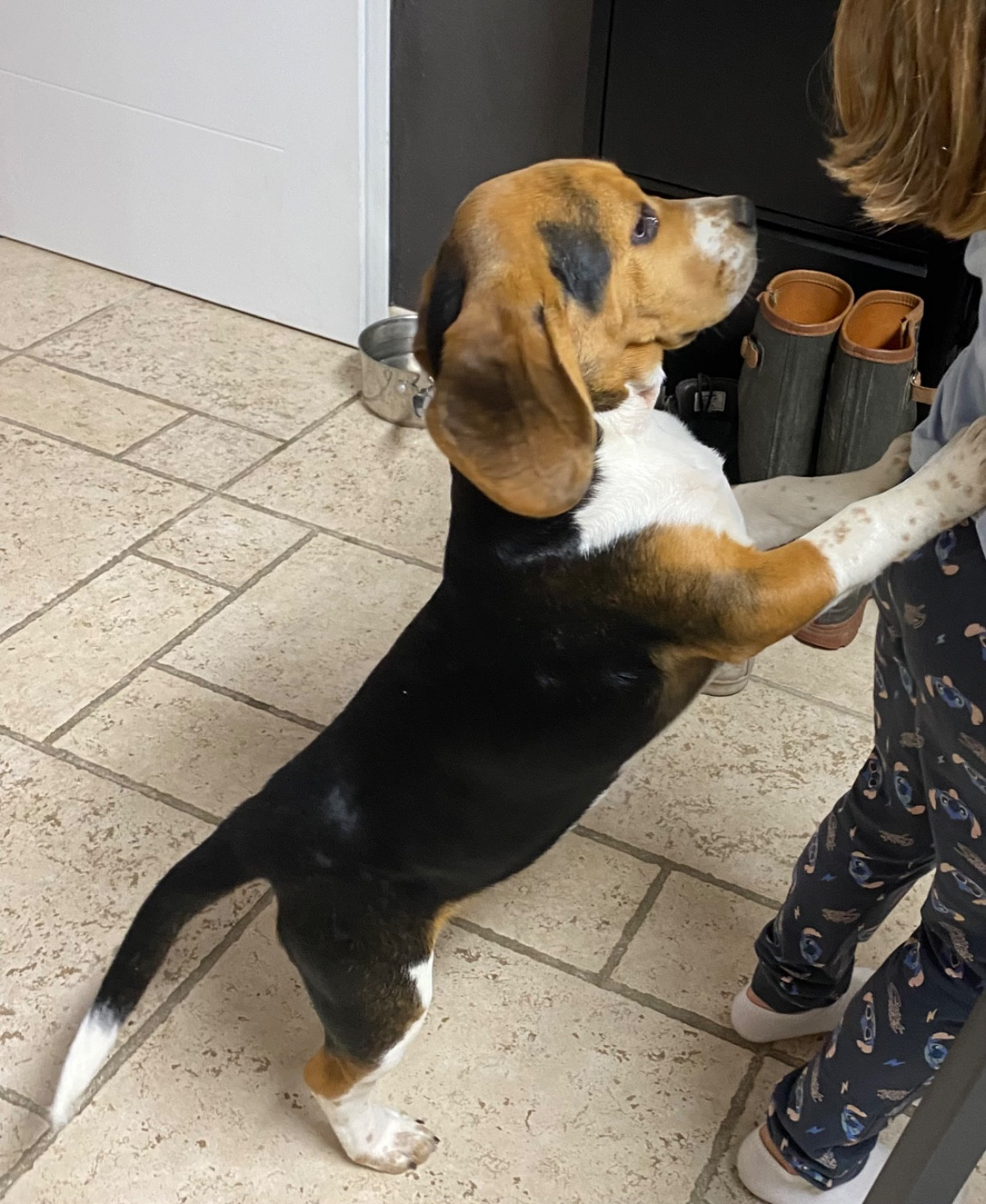 Tania de la ripaille