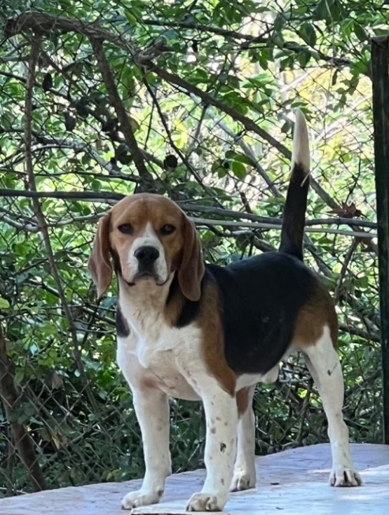 Portée d exception 2026